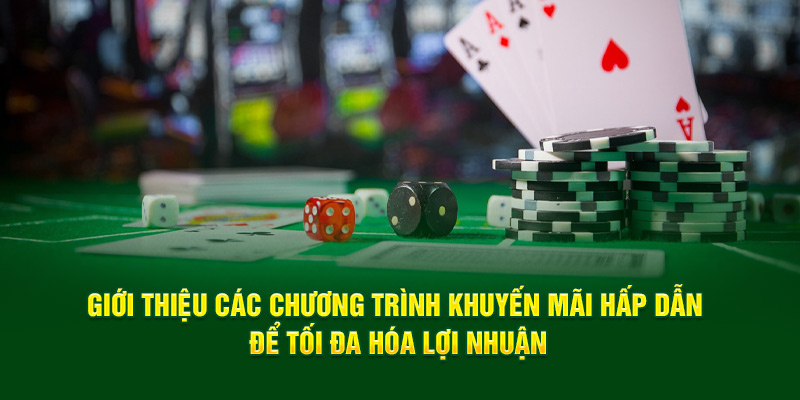 gioi-thieu-cac-chuong-trinh-khuyen-mai-hap-dan-de-toi-da-hoa-loi-nhuan