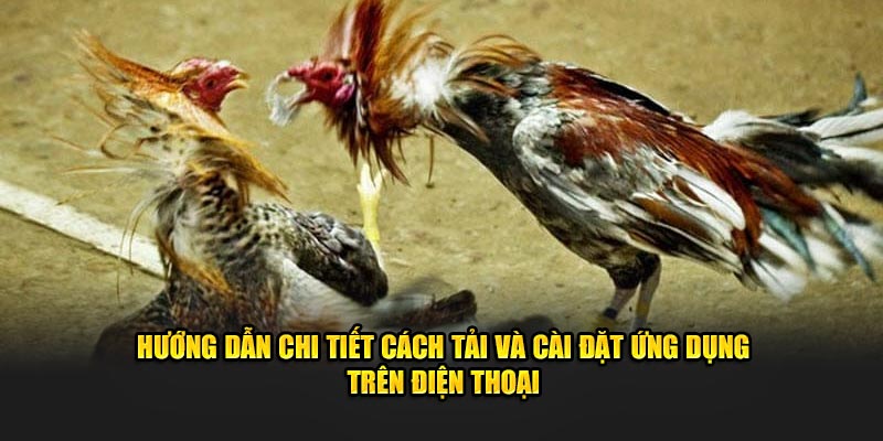 huong-dan-chi-tiet-cach-tai-va-cai-dat-ung-dung-tren-dien-thoai