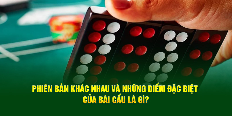phien-ban-khac-nhau-va-nhung-diem-dac-biet-cua-bai-cau-la-gi